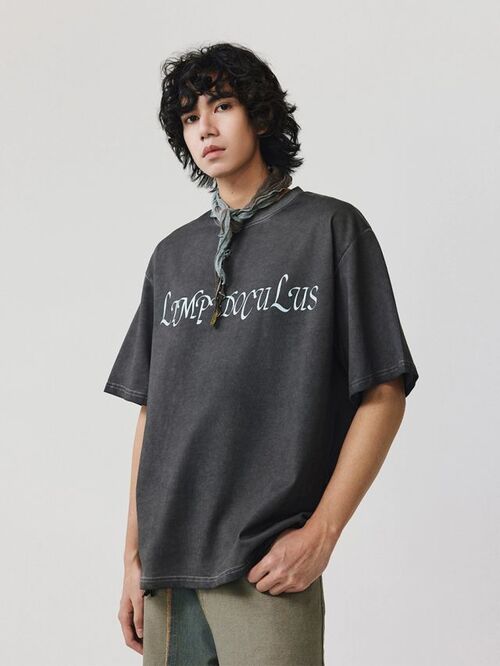 LIMPIDOCULUS 워시드 로고 티셔츠 (그레이)